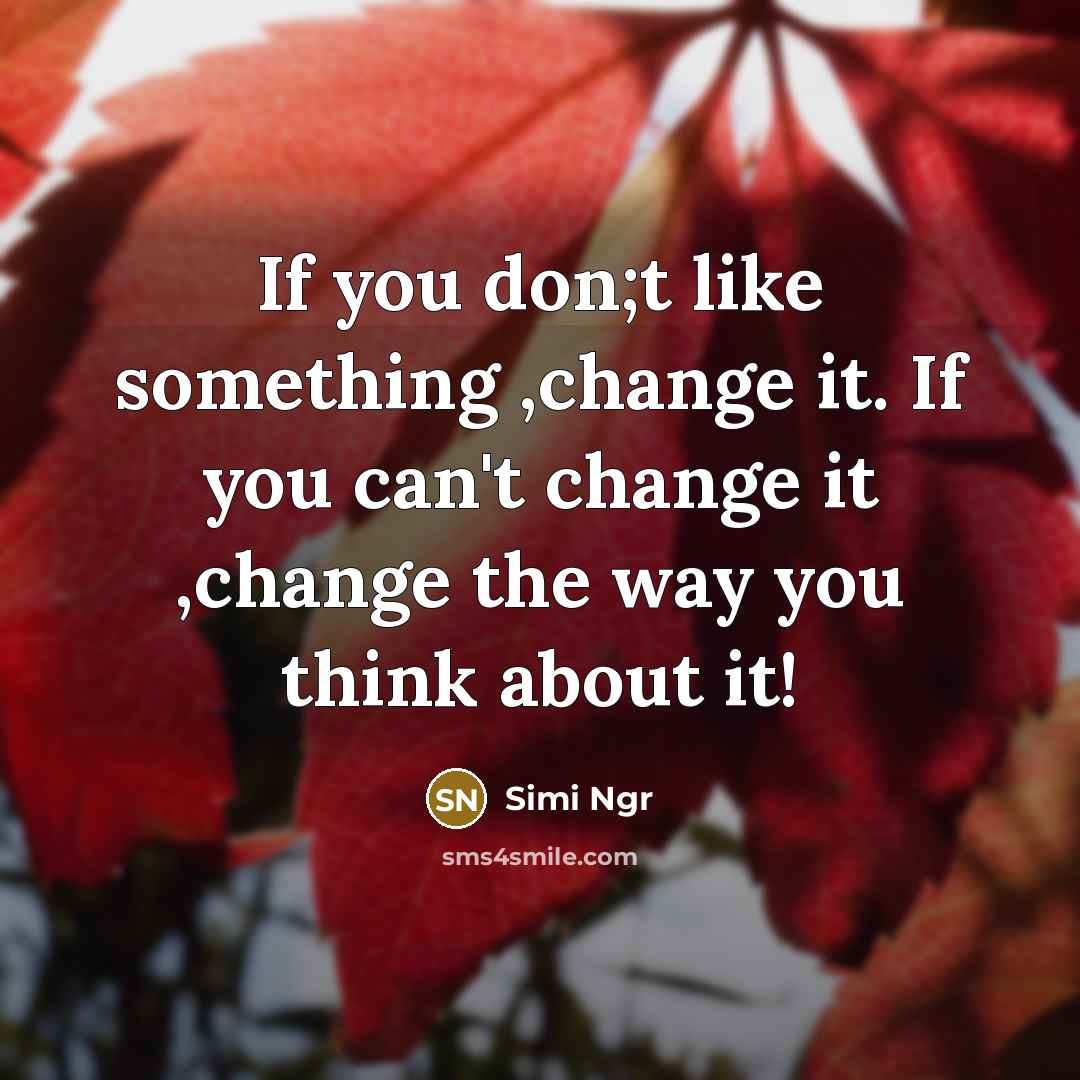 “If you don;t like something ,change it. If you can't change it ,change the way you think about it!” quote by Simi Ngr