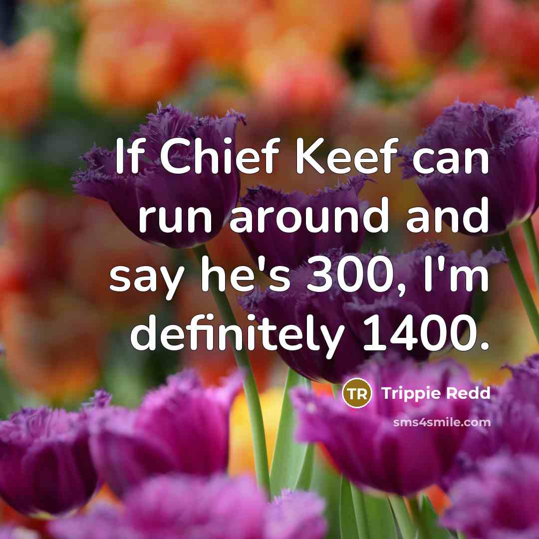 “If Chief Keef can run around and say he's 300,…” quote by Trippie Redd
