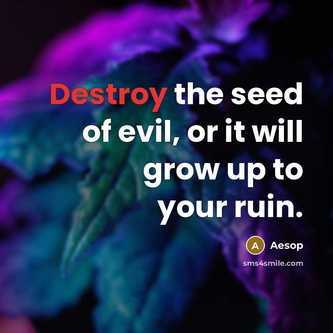“Destroy the seed of evil, or it will grow up…” quote by Aesop