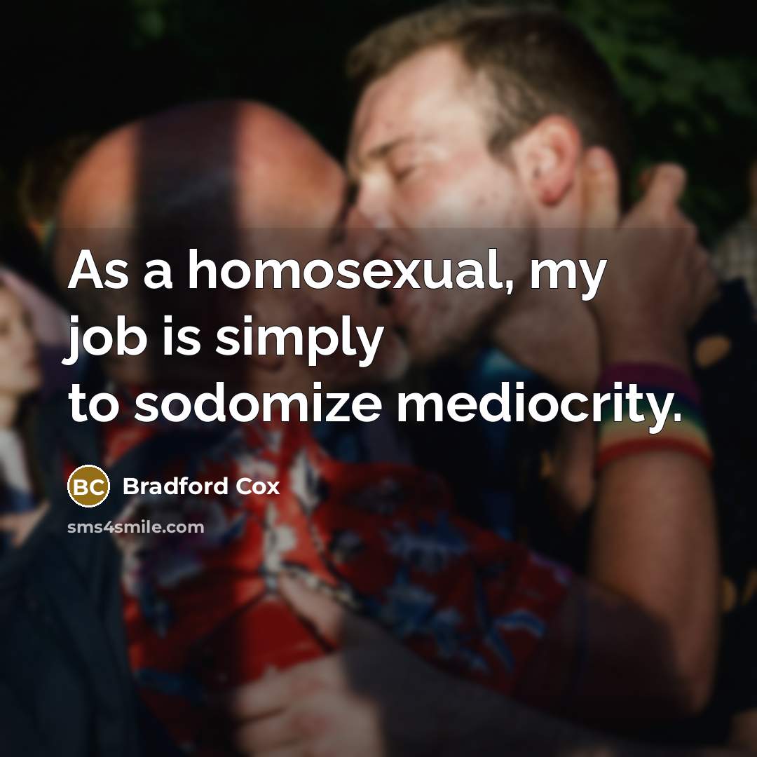 “As a homosexual, my job is simply to sodomize mediocrity.…” quote by Bradford Cox