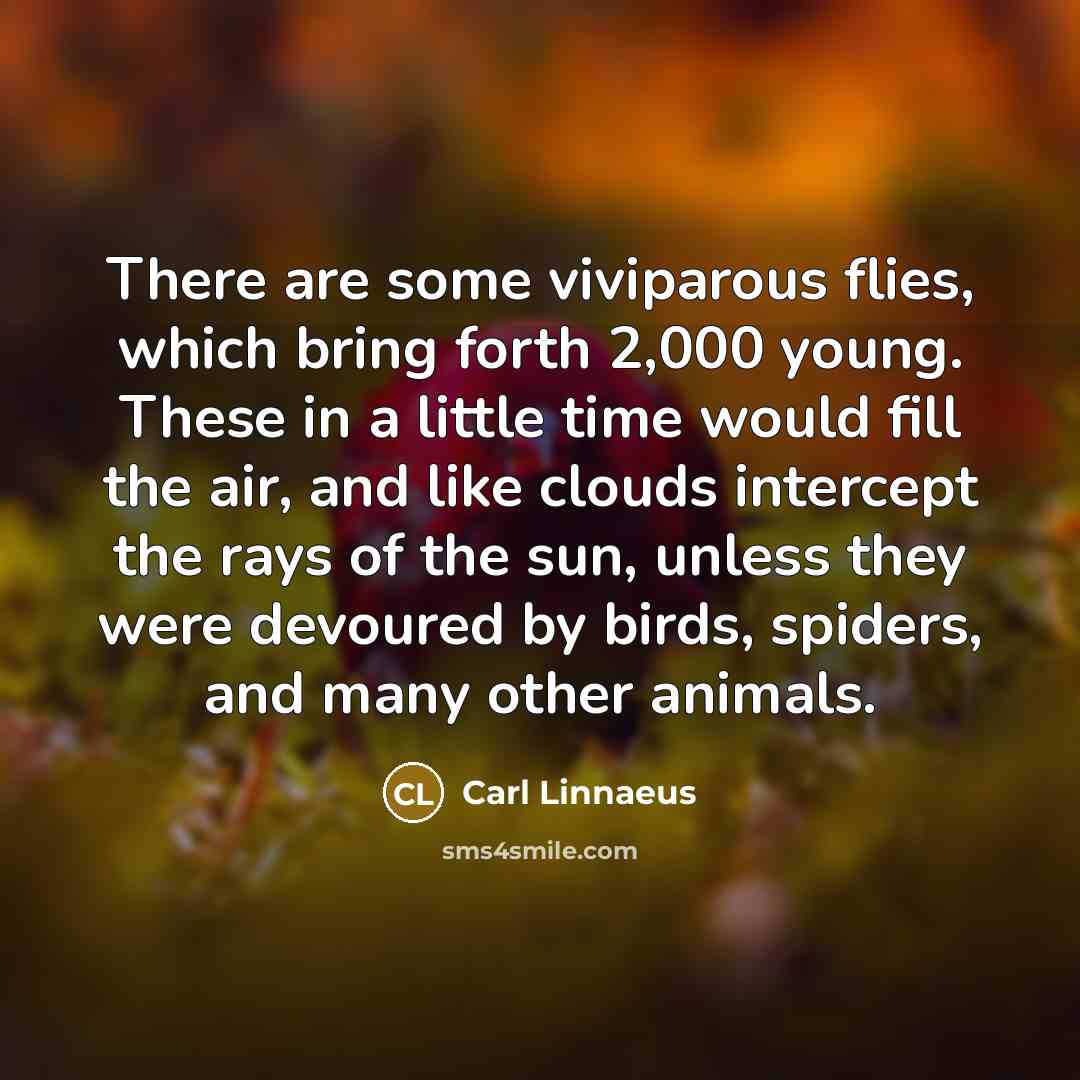 “There are some viviparous flies, which bring forth 2,000 young.…” quote by Carl Linnaeus