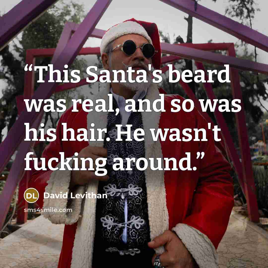 “This Santa's beard was real, and so was his hair. He wasn't fucking around.” quote by David Levithan