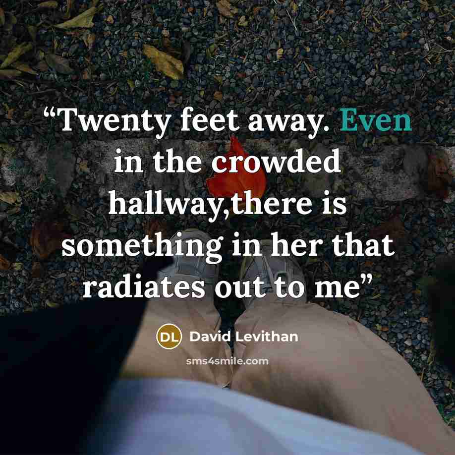 “Twenty feet away. Even in the crowded hallway,there is something in her that radiates out to me” quote by David Levithan