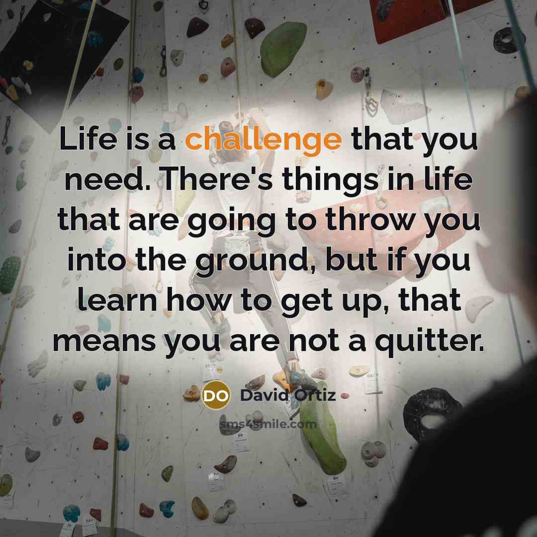 “Life is a challenge that you need. There's things in life that are going to throw you into the ground, but if you learn how to get up, that means you are not a quitter.” quote by David Ortiz