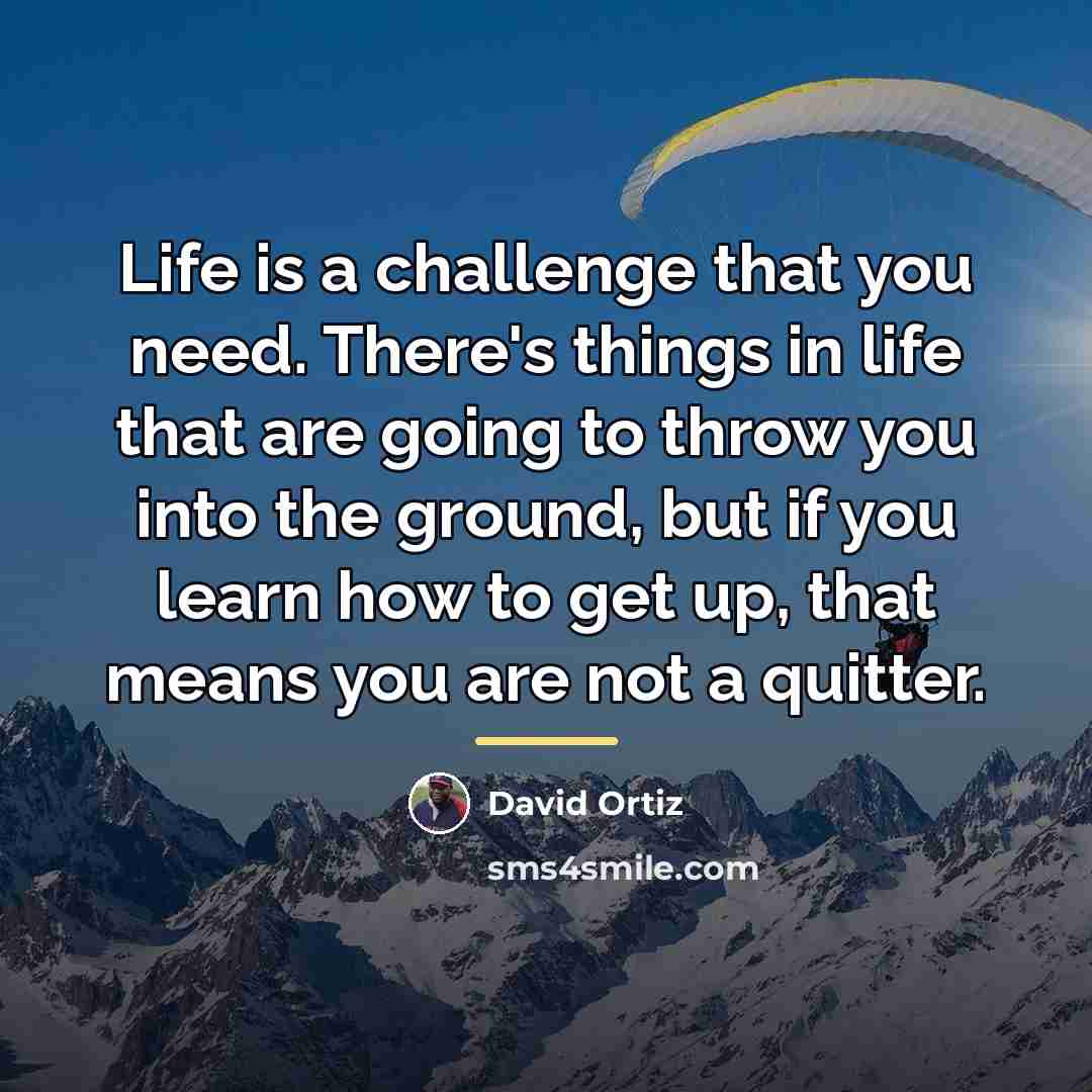 “Life is a challenge that you need. There's things in…” quote by David Ortiz