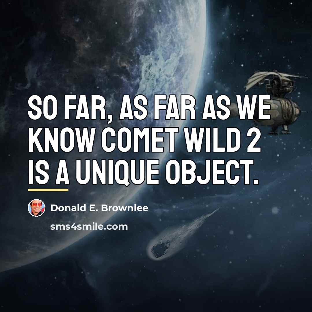 “So far, as far as we know comet Wild 2…” quote by Donald E. Brownlee