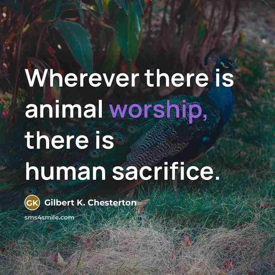 “Wherever there is animal worship, there is human sacrifice.…” quote by Gilbert K. Chesterton