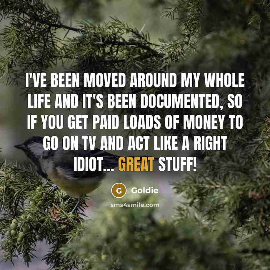 “I've been moved around my whole life and it's been…” quote by Goldie