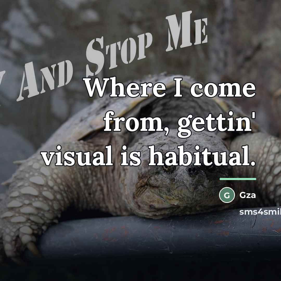“Where I come from, gettin' visual is habitual.…” quote by GZA