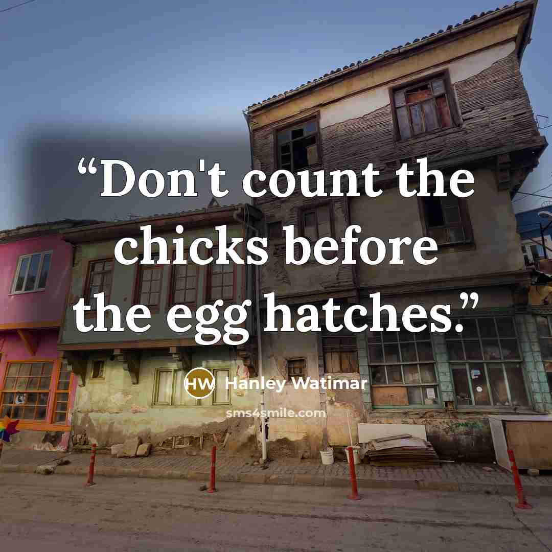 “Don't count the chicks before the egg hatches.” quote by Hanley Watimar