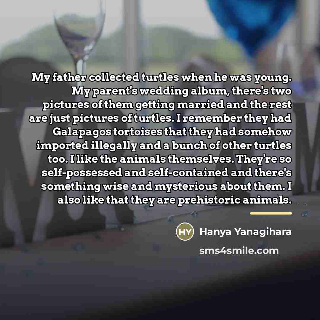 “My father collected turtles when he was young. My parent's…” quote by Hanya Yanagihara