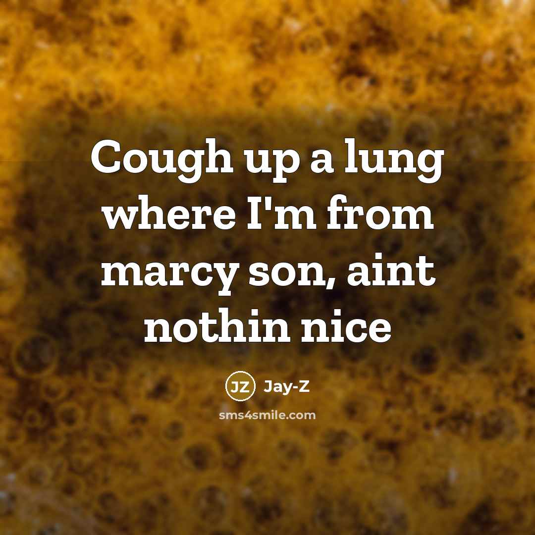 “Cough up a lung where I'm from marcy son, aint nothin nice” quote by Jay-Z