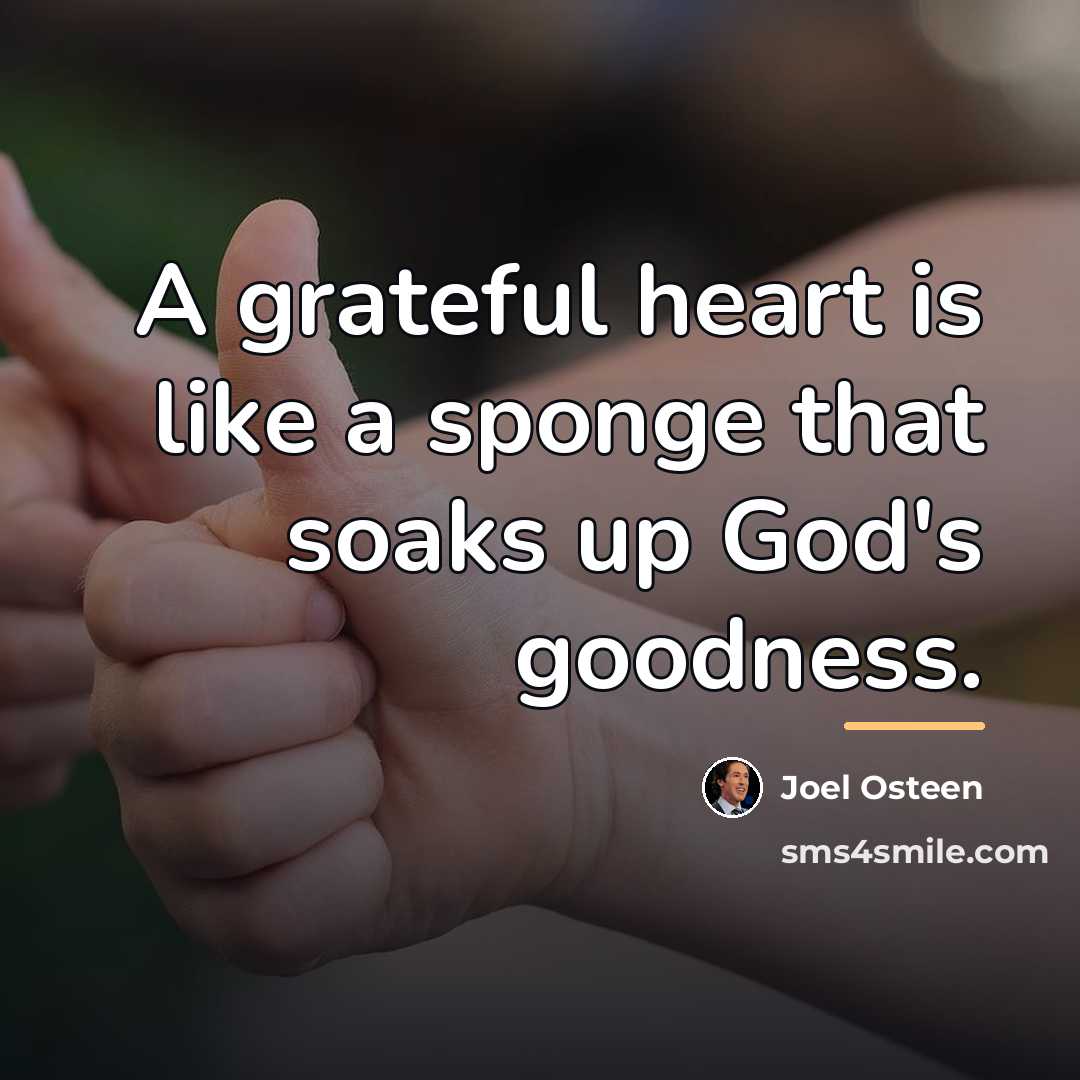 “A grateful heart is like a sponge that soaks up…” quote by Joel Osteen