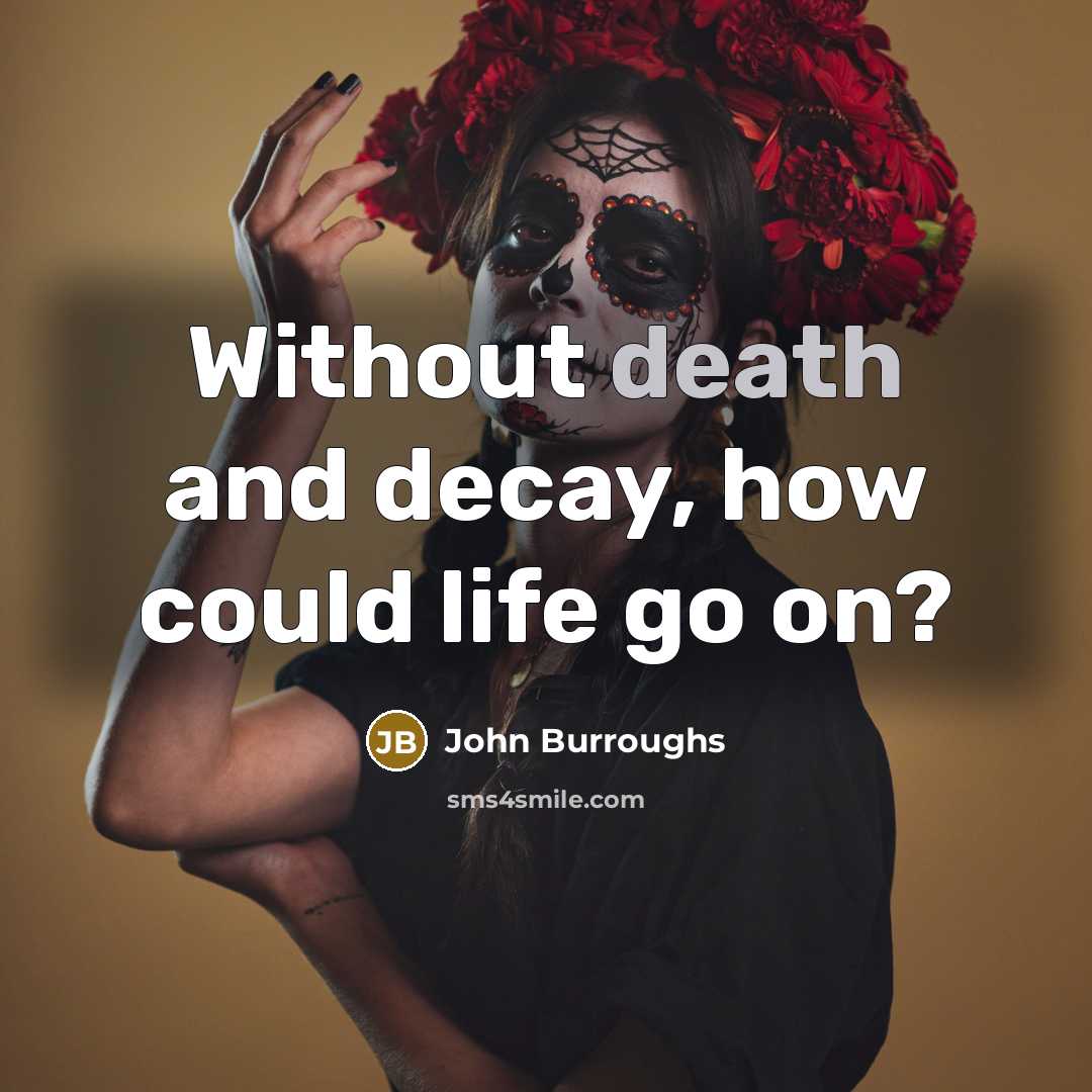 “Without death and decay, how could life go on?…” quote by John Burroughs