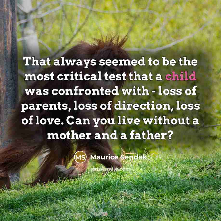 “That always seemed to be the most critical test that…” quote by Maurice Sendak