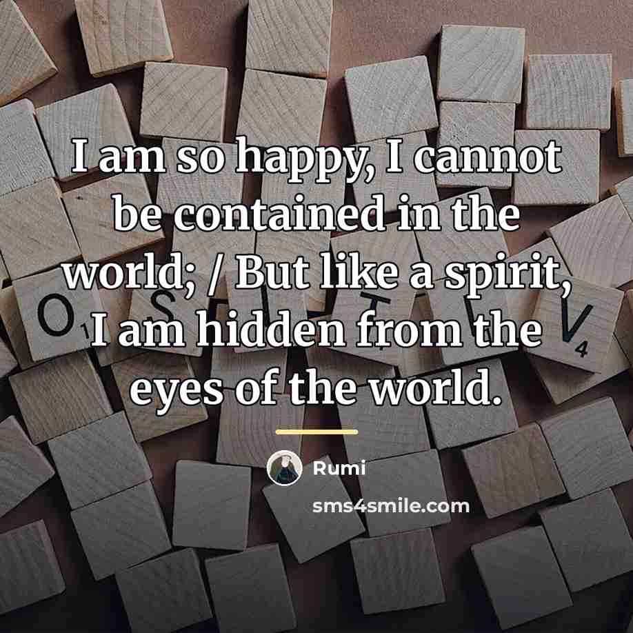 “I am so happy, I cannot be contained in the…” quote by Rumi