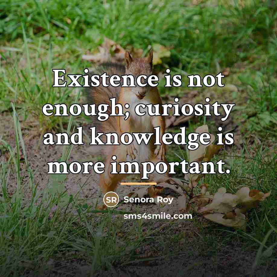 “Existence is not enough; curiosity and knowledge is more important.…” quote by Senora Roy