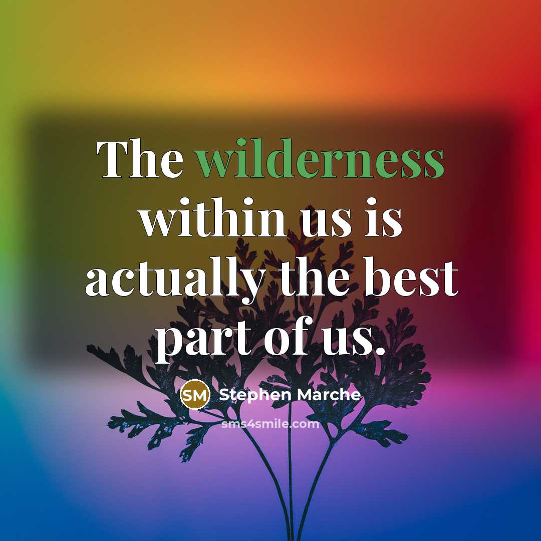 “The wilderness within us is actually the best part of…” quote by Stephen Marche