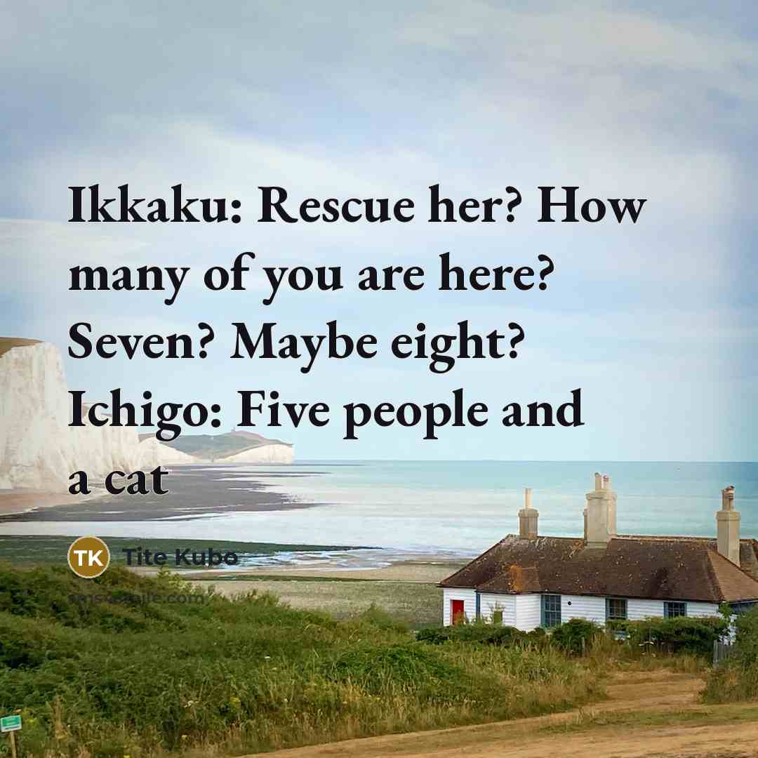 “Ikkaku: Rescue her? How many of you are here? Seven?…” quote by Tite Kubo