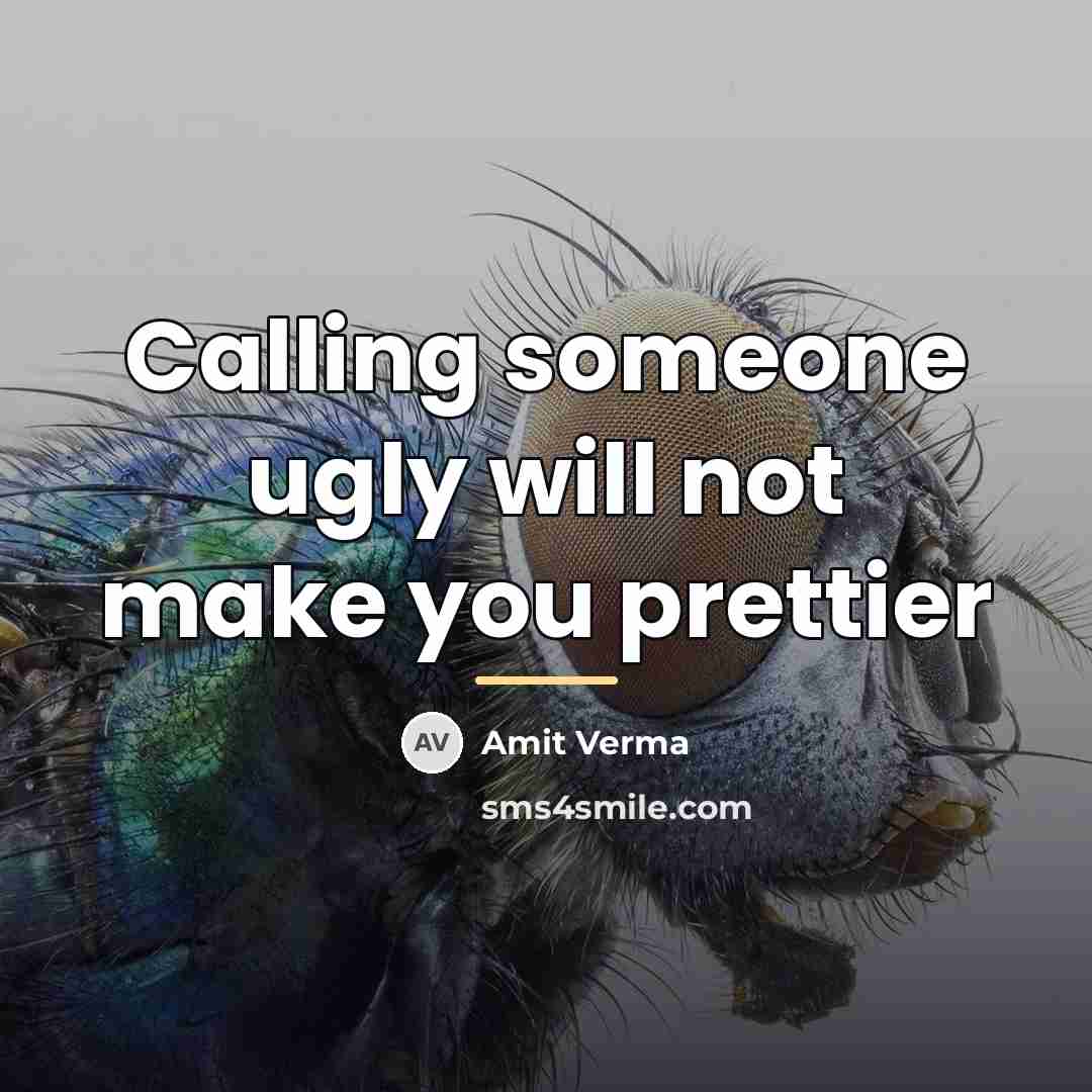 “Calling someone ugly will not make you prettier…” quote by Amit Verma