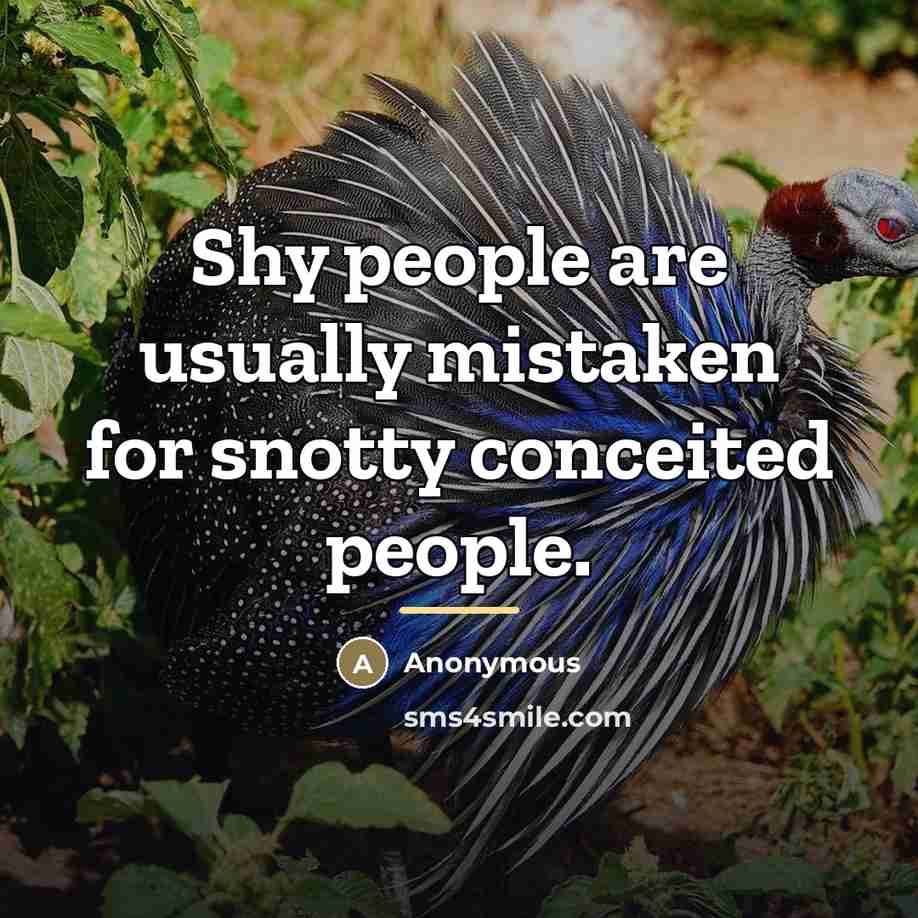 “Shy people are usually mistaken for snotty conceited people.…” quote by Anonymous