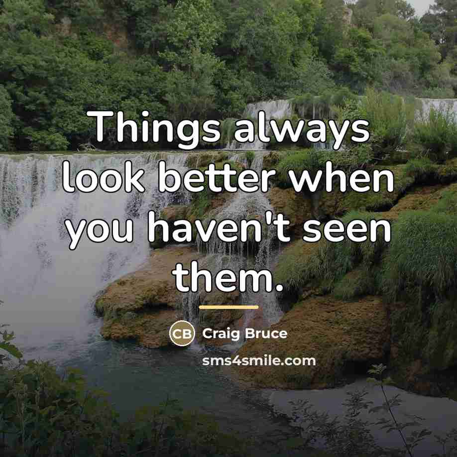 “Things always look better when you haven't seen them.…” quote by Craig Bruce