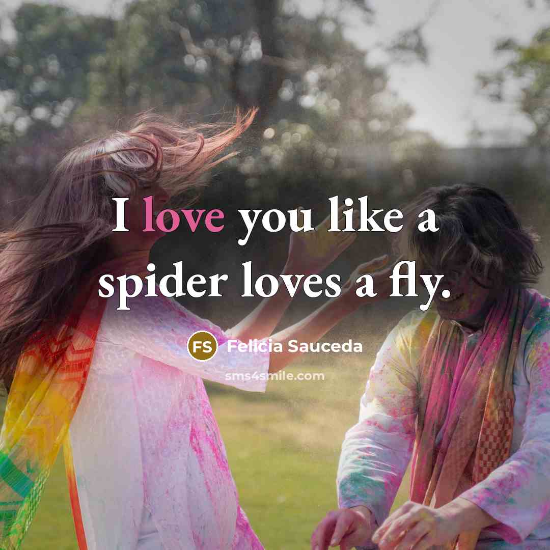 “I love you like a spider loves a fly.…” quote by Felicia Sauceda