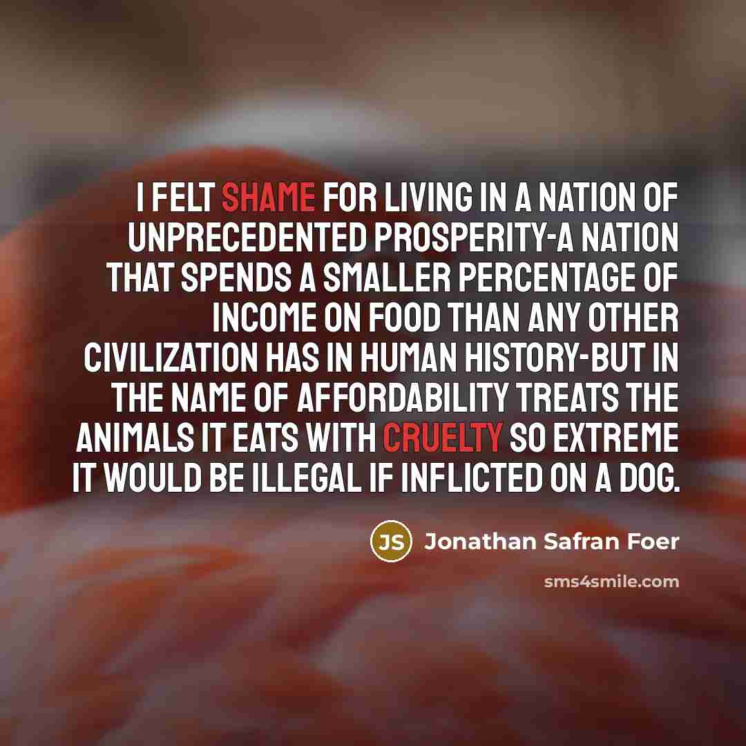 “I felt shame for living in a nation of unprecedented…” quote by Jonathan Safran Foer