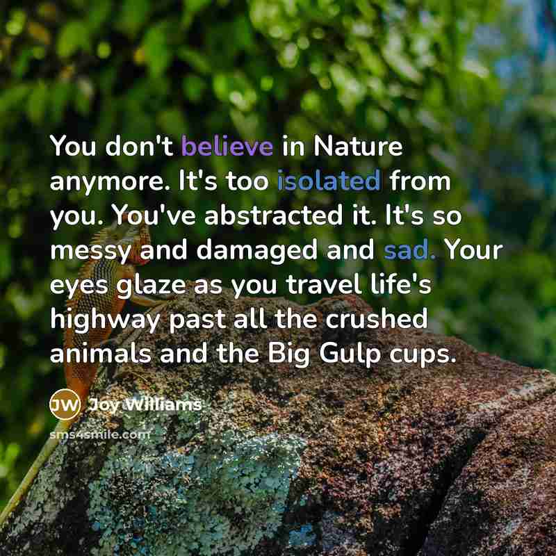 “You don't believe in Nature anymore. It's too isolated from…” quote by Joy Williams