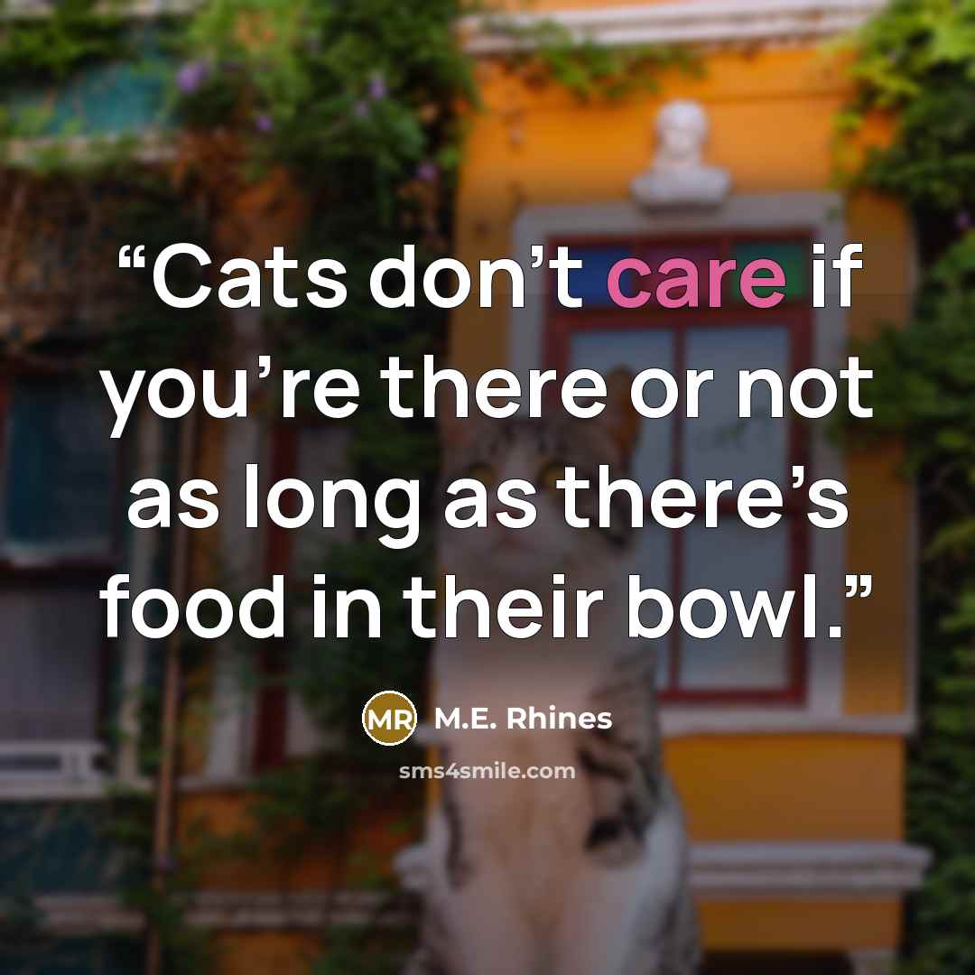 “Cats don’t care if you’re there or not as long as there’s food in their bowl.” quote by M.E. Rhines