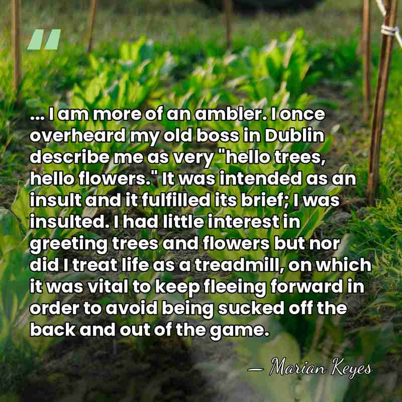 ... I am more of an ambler. I once overheard my old&hellip; - Marian Keyes