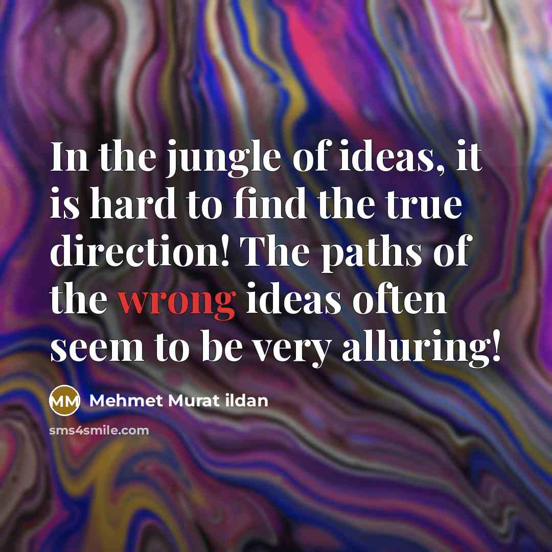 “In the jungle of ideas, it is hard to find…” quote by Mehmet Murat Ildan