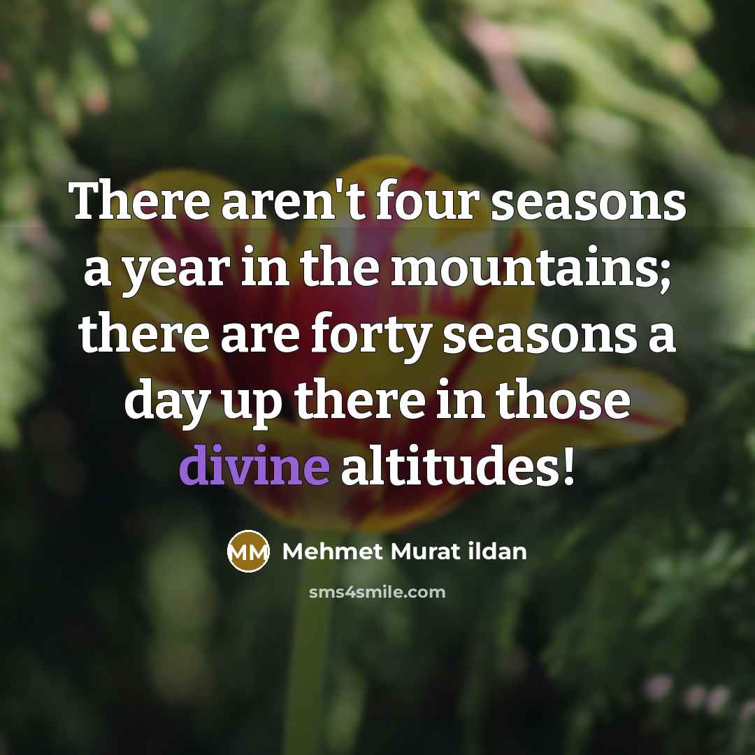 “There aren't four seasons a year in the mountains; there…” quote by Mehmet Murat Ildan