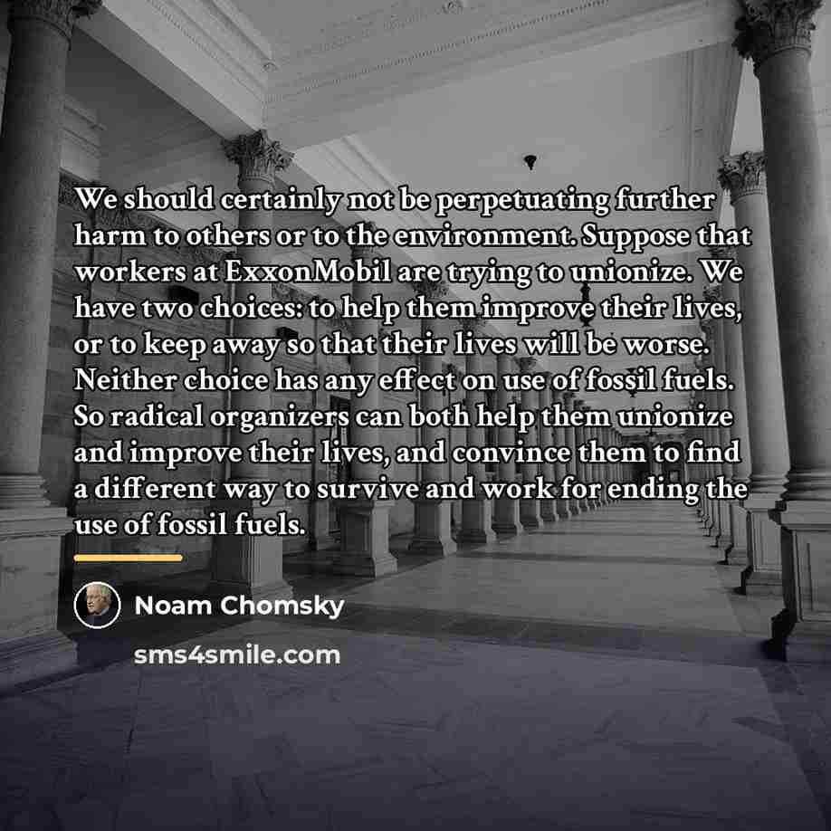 “We should certainly not be perpetuating further harm to others…” quote by Noam Chomsky