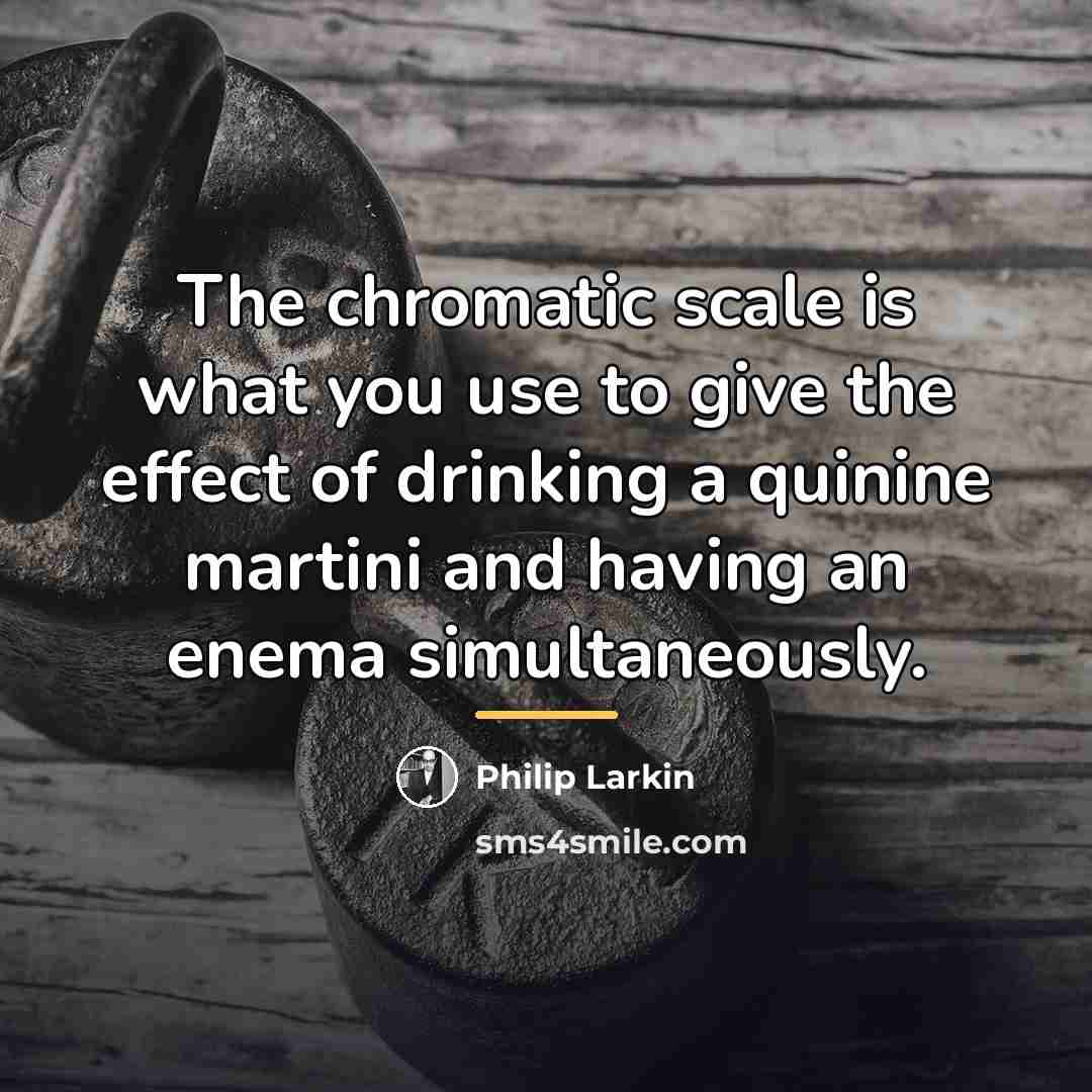 “The chromatic scale is what you use to give the…” quote by Philip Larkin