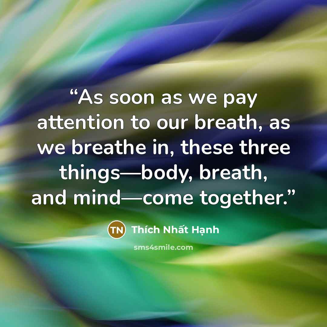 “As soon as we pay attention to our breath, as we breathe in, these three things—body, breath, and mind—come together.” quote by Thích Nhất Hạnh