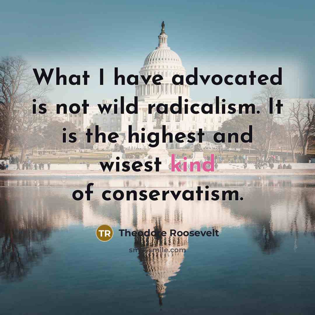 “What I have advocated is not wild radicalism. It is…” quote by Theodore Roosevelt