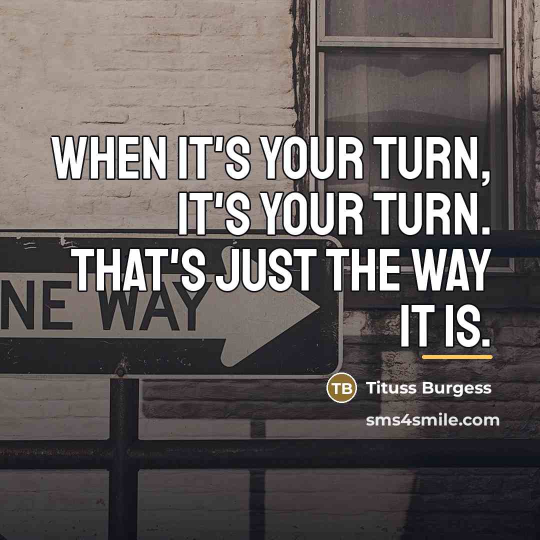 “When it's your turn, it's your turn. That's just the…” quote by Tituss Burgess