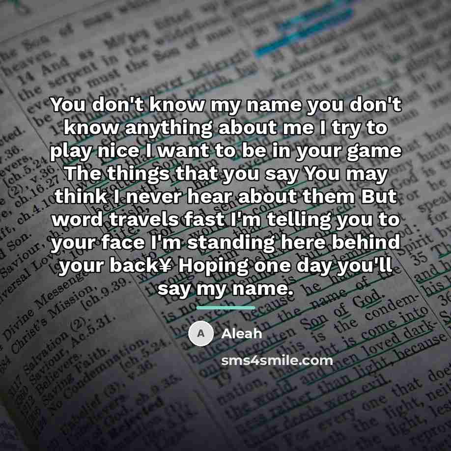 “You don't know my name you don't know anything about…” quote by Aleah