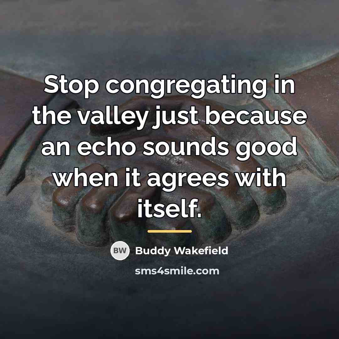 “Stop congregating in the valley just because an echo sounds…” quote by Buddy Wakefield