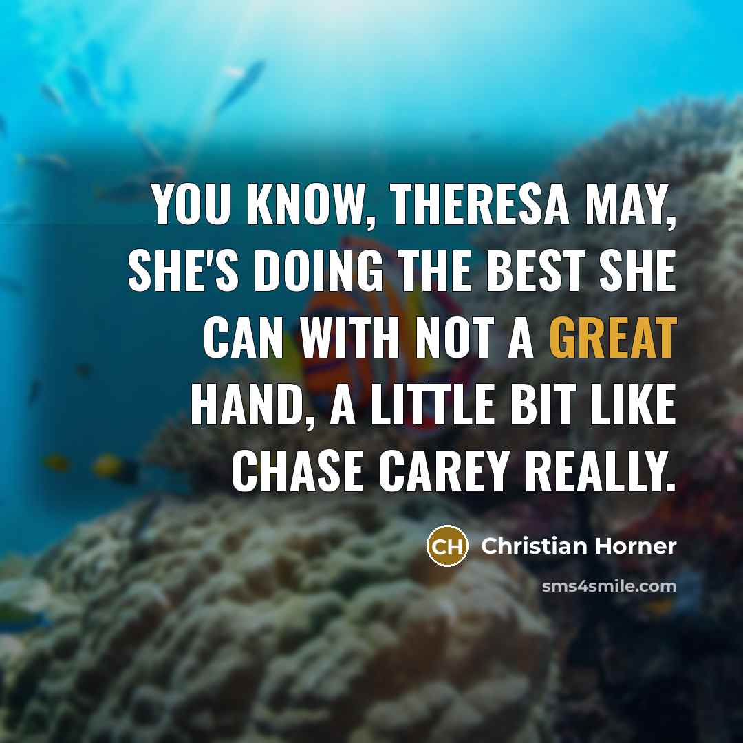 “You know, Theresa May, she's doing the best she can…” quote by Christian Horner