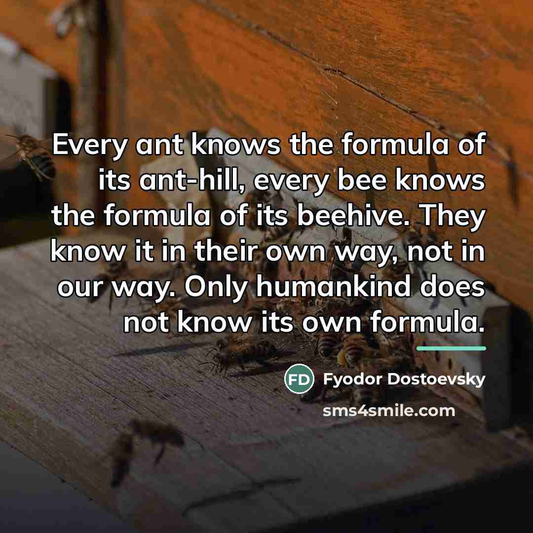 “Every ant knows the formula of its ant-hill, every bee…” quote by Fyodor Dostoevsky