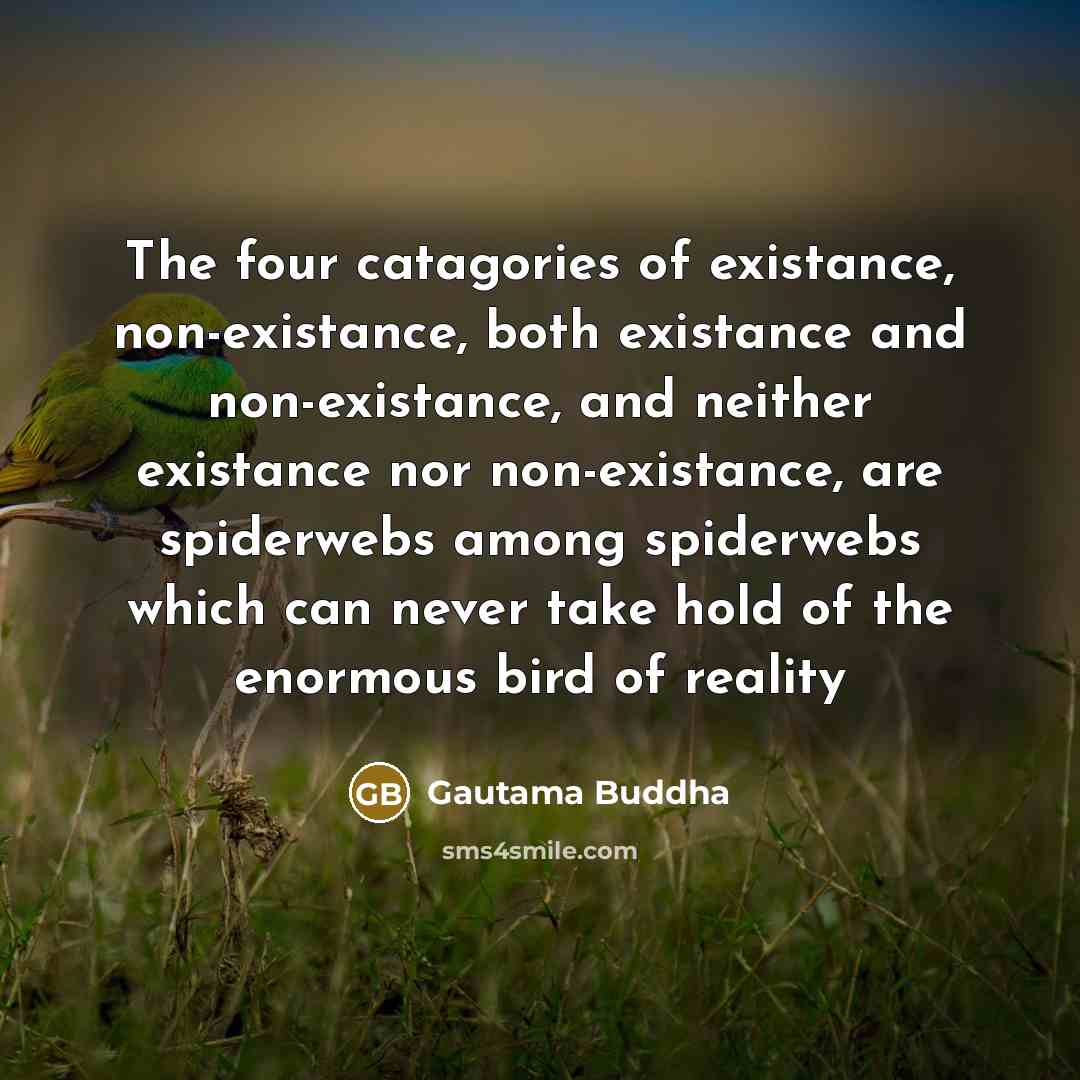 “The four catagories of existance, non-existance, both existance and non-existance,…” quote by Gautama Buddha