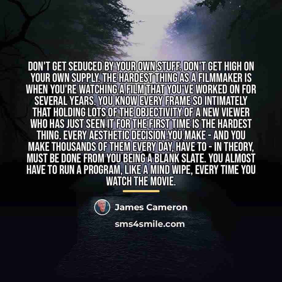 “Don't get seduced by your own stuff. Don't get high…” quote by James Cameron