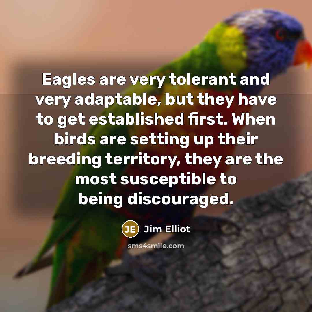 “Eagles are very tolerant and very adaptable, but they have…” quote by Jim Elliot