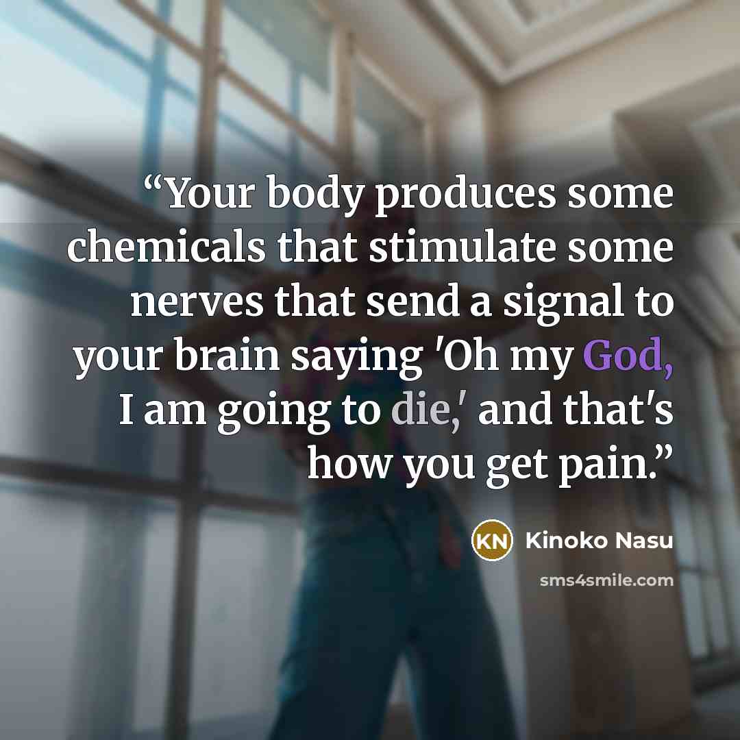 “Your body produces some chemicals that stimulate some nerves that send a signal to your brain saying 'Oh my God, I am going to die,' and that's how you get pain.” quote by Kinoko Nasu
