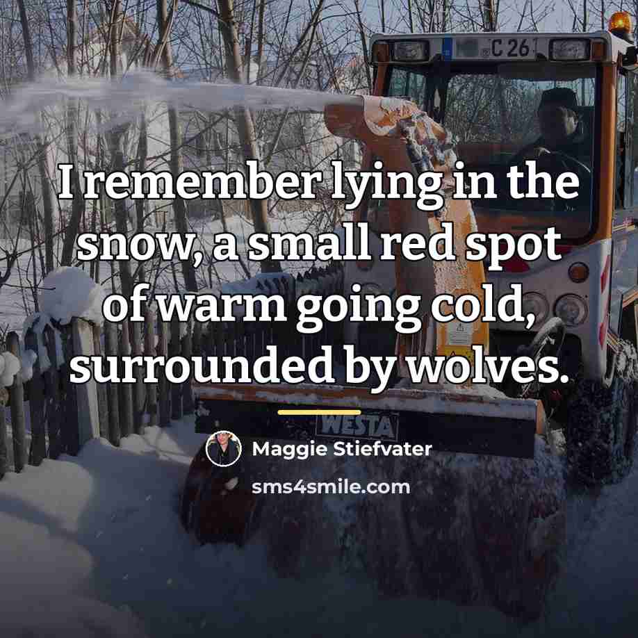 “I remember lying in the snow, a small red spot…” quote by Maggie Stiefvater