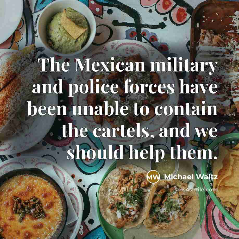 “The Mexican military and police forces have been unable to…” quote by Michael Waltz