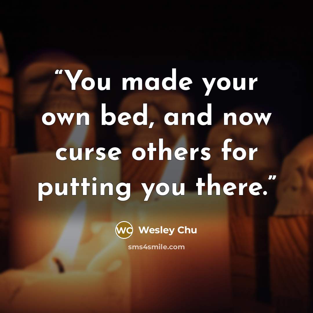 “You made your own bed, and now curse others for putting you there.” quote by Wesley Chu