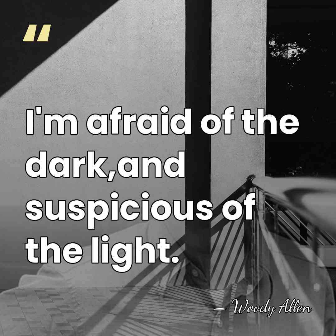 I'm afraid of the dark,and suspicious of the light. - Woody Allen